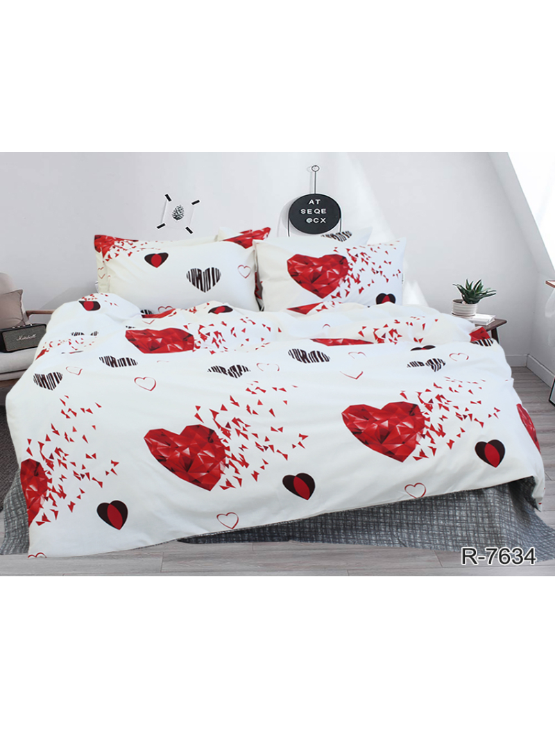 _Пододеяльник ренфорс в ассорт.